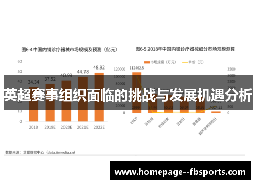 英超赛事组织面临的挑战与发展机遇分析